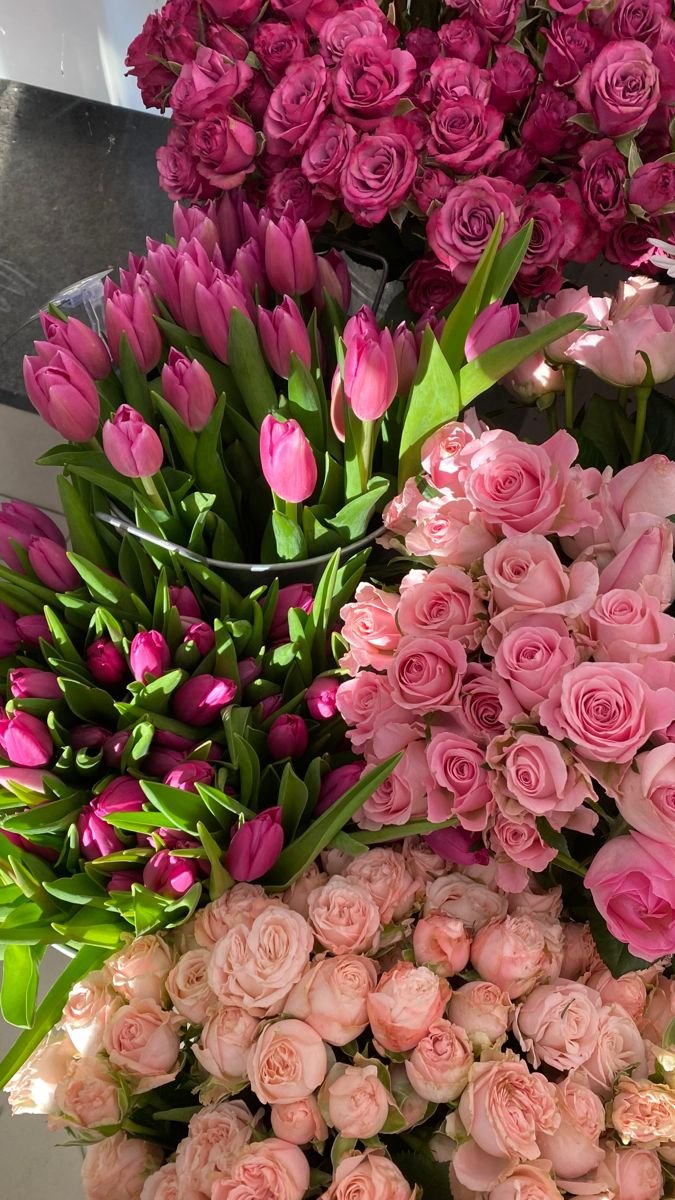  2026 03 18t120553.285